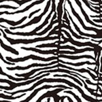 Black Zebra YH-D051A